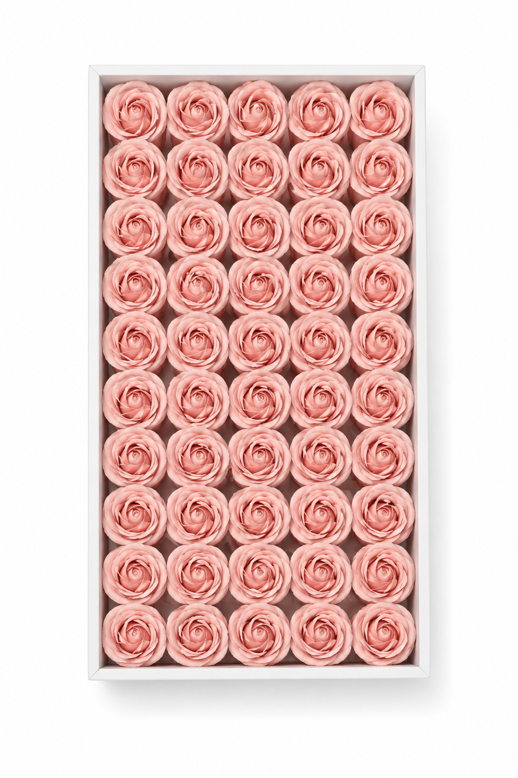 Pembe Kokulu Kafa Gül 4,5 cm – İthal 50’li Kutu