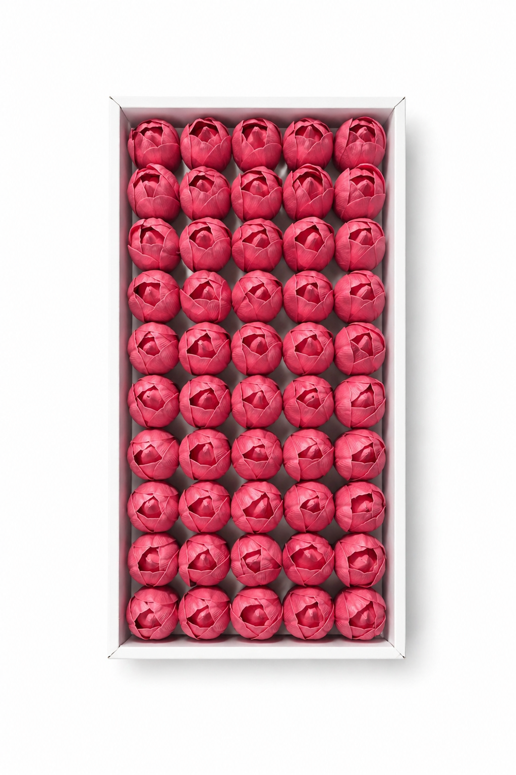 Açık Pembe Kokulu Kafa Lale 4,5 cm – İthal 50’li Kutu