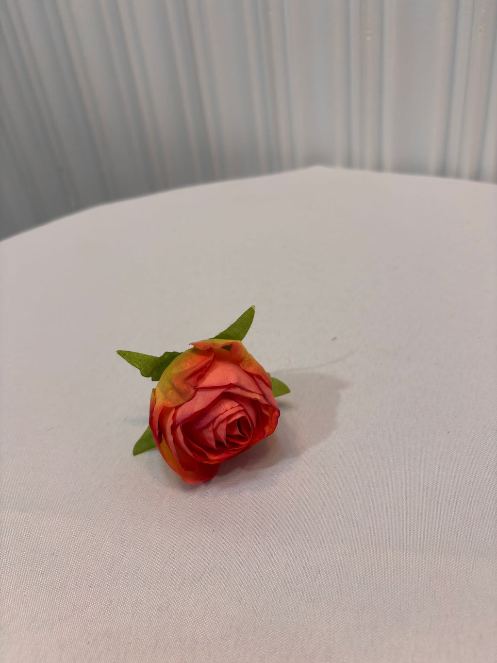 KÜÇÜK ŞAKAYIK KAFA