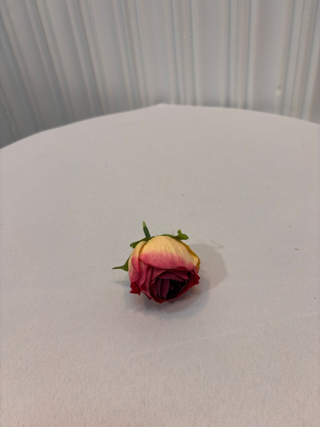 KÜÇÜK ŞAKAYIK KAFA
