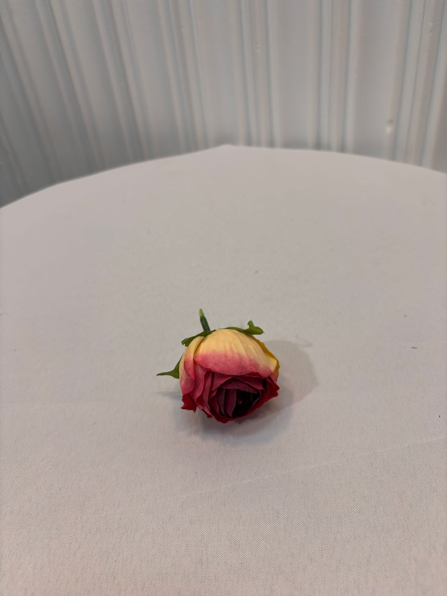 KÜÇÜK ŞAKAYIK KAFA