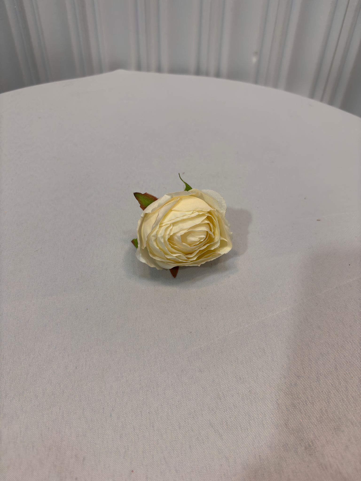 KÜÇÜK ŞAKAYIK KAFA