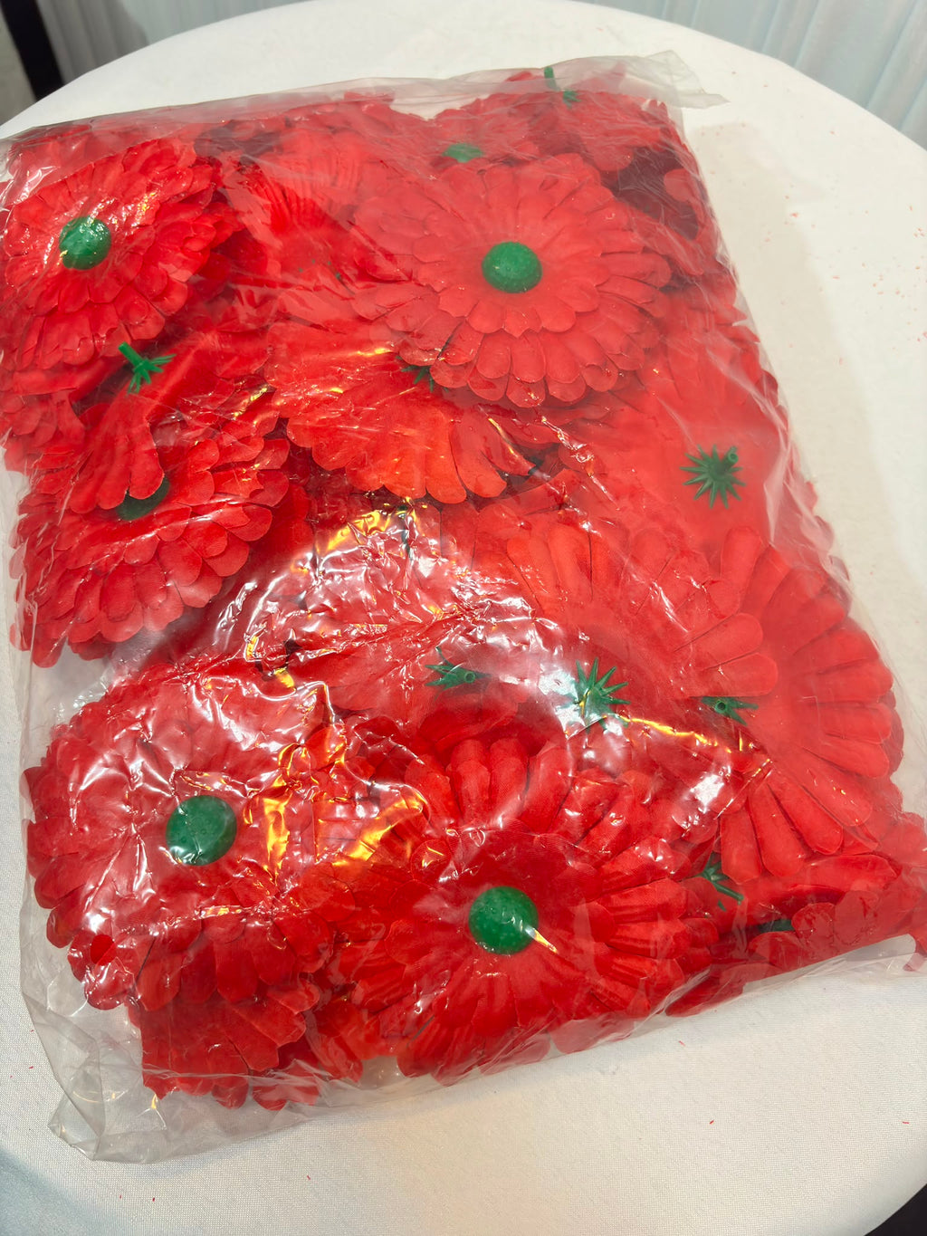 GERBERA