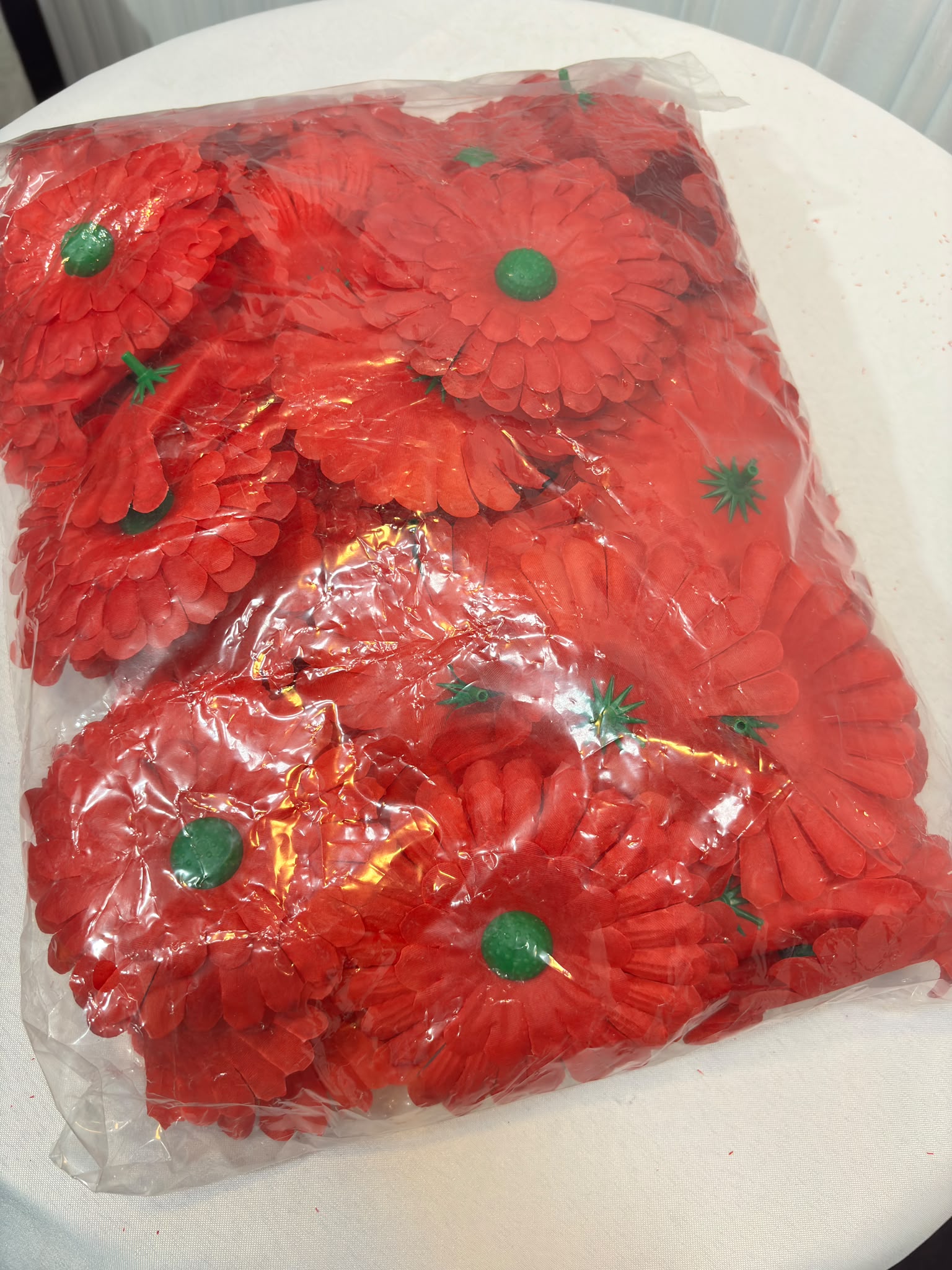 GERBERA