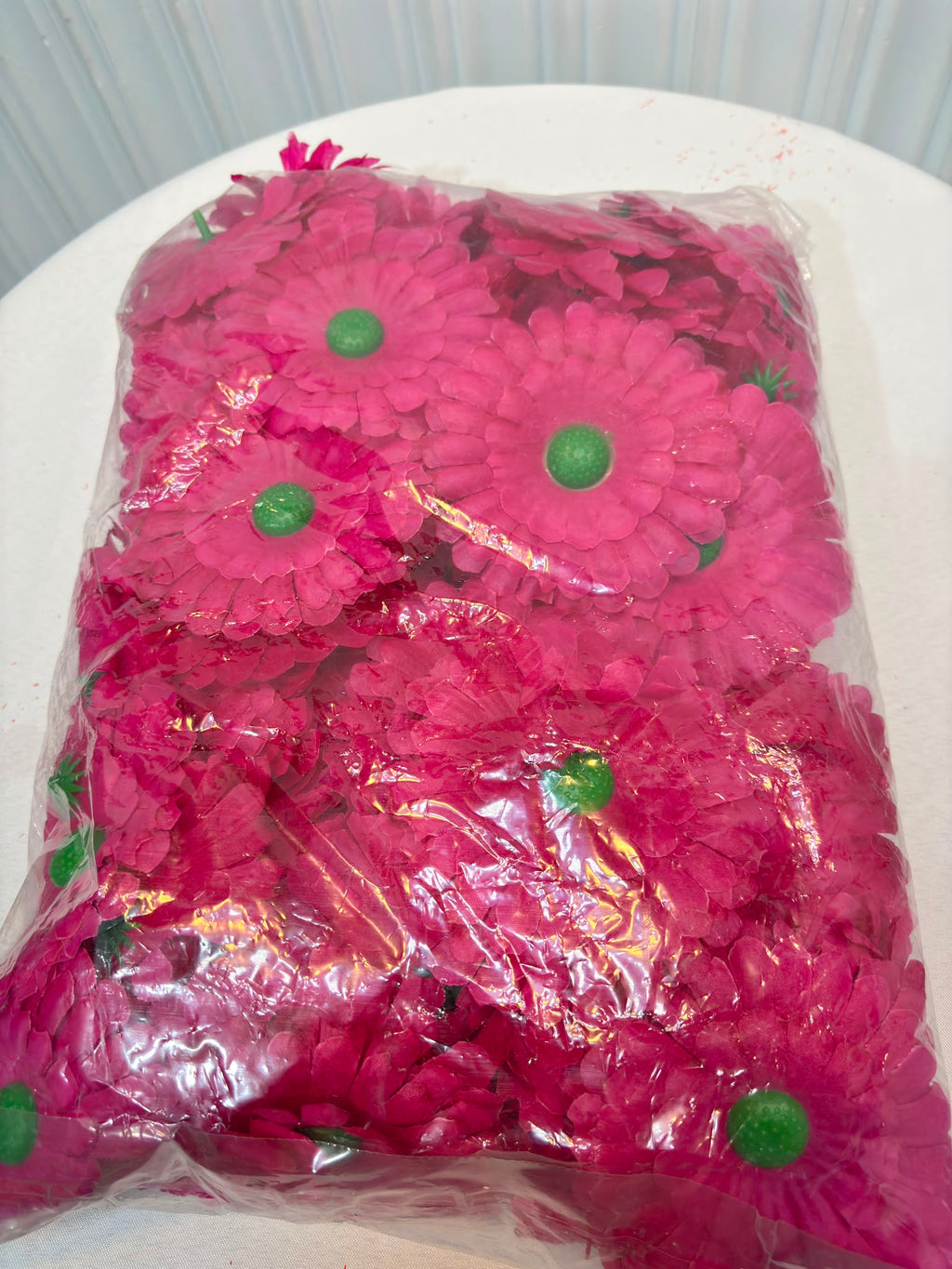 GERBERA
