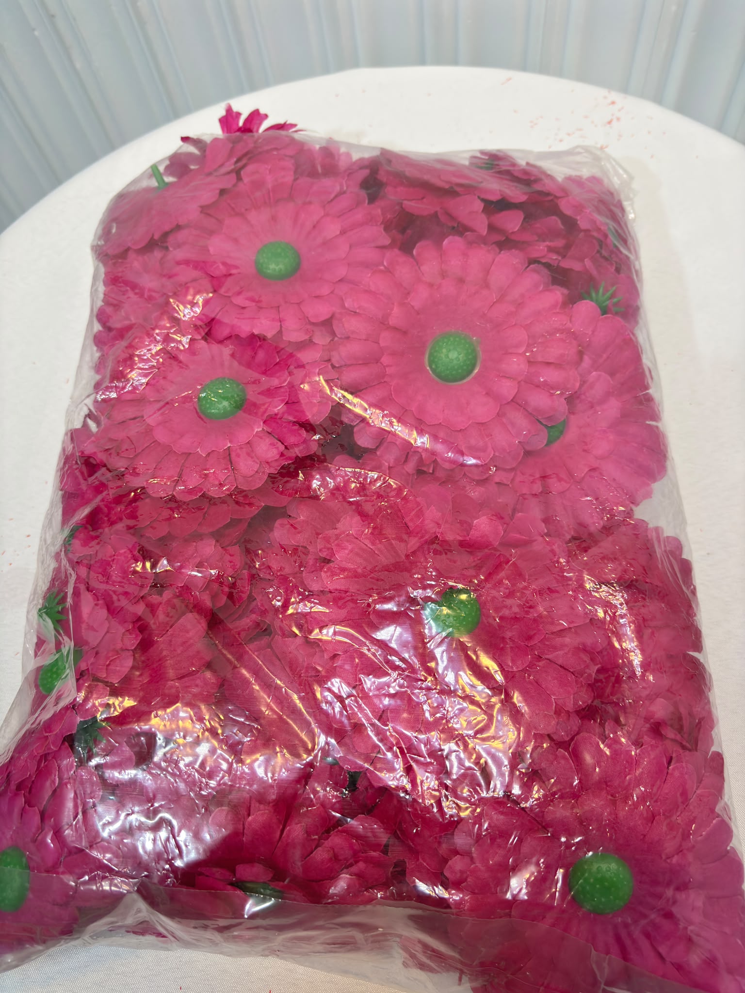 GERBERA